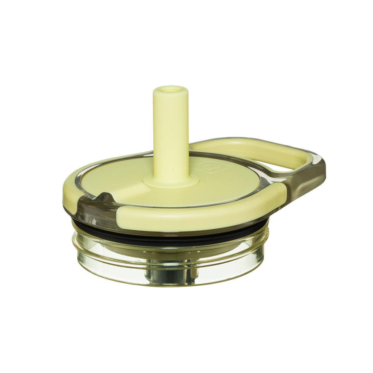 Leap lid 12oz prickly pear - US 08714