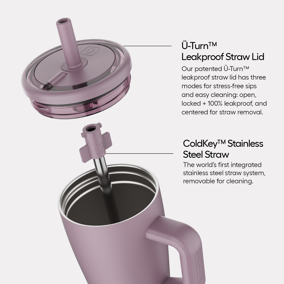 Era 20oz kiwi - US 42113