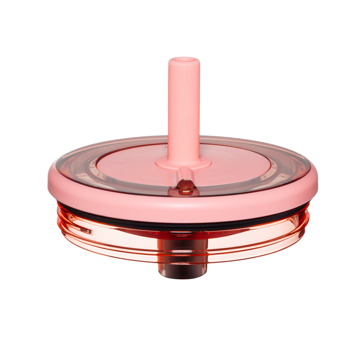 Era lid guava - US 58581