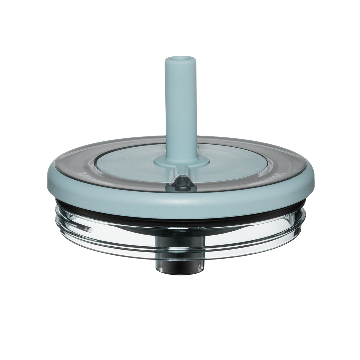 Era lid mist - US 07961