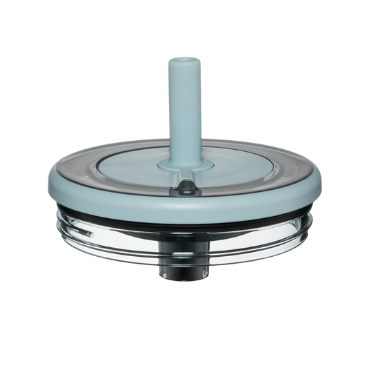 Era lid mist - US 07961